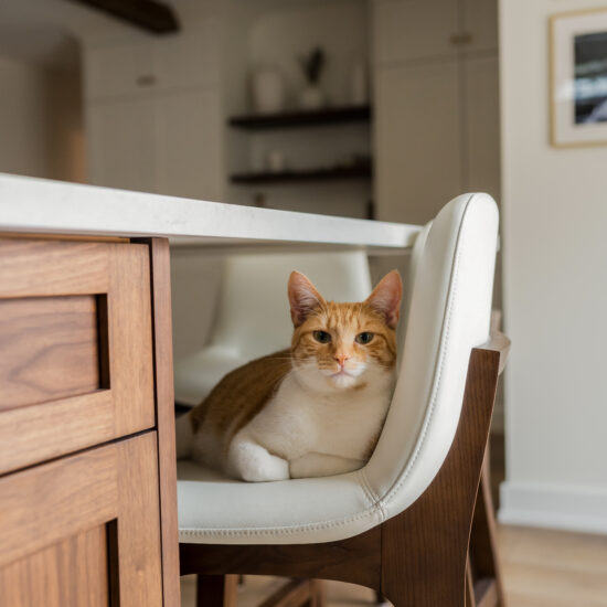A cozy modern kitchen featuring warm wood tones, a marble countertop, and a ginger cat lounging on a cream leather chair, designed by MM Interior Design for stylish and pet-friendly homes in Whitby, Oshawa, and Uxbridge.